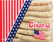 AG123 Long American Ginseng Large 4 oz x 11 boxes