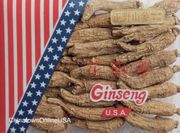 AG193 Premium Best-Quality Wisconsin American Ginseng