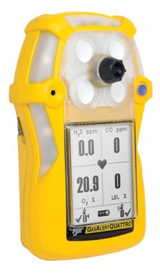 BW Technologies Auxiliary Filter (LCD Protector) - Includes Five Filters