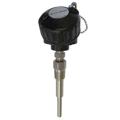 Digi-Sense Probe Type J 316 Stainless Steel 12 in. L Iron Heads - 90446-83