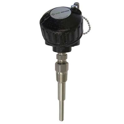 Digi-Sense Probe Type-J 316 Stainless Steel 24 in. L Iron Heads - 90446-80