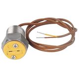 Digi-Sense Type-K, 2-Wire Feedthrough, 1 / 2 in. NPT (M) Fitting, 48 in. PTFE Wire - 93870-02