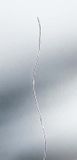 Digi-Sense Type T Quick-Response PFA-Insulated Thermocouple Probe - 08506-70