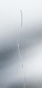 Digi-Sense Type T Quick-Response PFA-Insulated Thermocouple Probe - 08506-70
