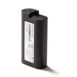 FLIR Rechargeable Li Ion Battery - T198487