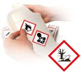 GHS Environment Pictogram Labels (2" x 2"), 500/roll - GHS1311