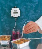 Hanna pH Indicator for HACCP Control w/12VDC & Buffers 115V - HI981400-01