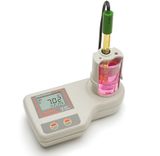 Hanna pH Meter for Education, 115V - HI207-01