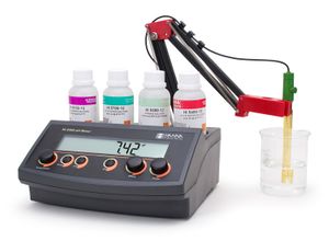Hanna pH/mV Meter with Manual Temperature Compensation (MTC) and Analog Output, 115 VA - HI22091-01