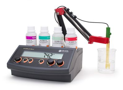 Hanna pH/mV Meter with Manual Temperature Compensation (MTC) and Analog Output, 115 VA - HI22091-01
