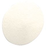 MSA Hydrphbc Inlet Filter, Pkg - 710917