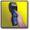SE International Monitor 4EC Handheld Radiation Alert Detector