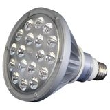 Western Technology 25W 12v AC / DC Par 38 LED Cool White, 25 Degrees Wet Location Gasket - DURA-LITE-12V- LED25SP
