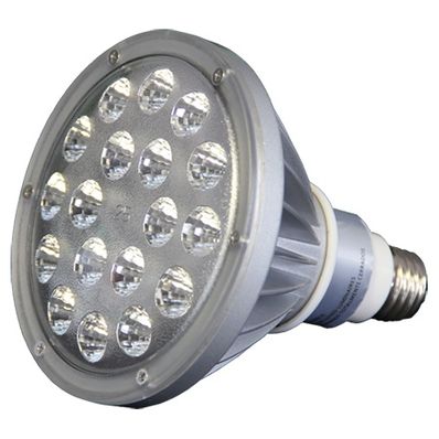 Western Technology 25W 12v AC / DC Par 38 LED Cool White, 25 Degrees Wet Location Gasket - DURA-LITE-12V- LED25SP