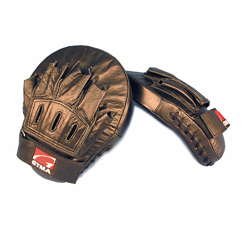 Curved Focus Mitt - Pair