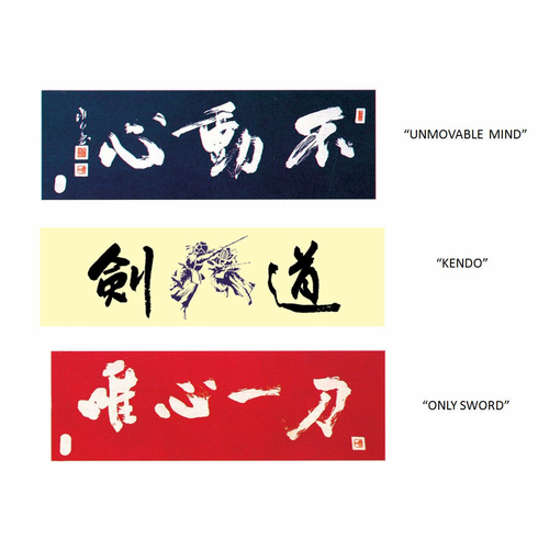 Kendo Head Bands Set