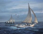 Cold Day on the Chesapeake 