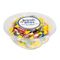 Advantus Jolly Ranchers Break Bites, Assorted Fruit Flavors Candy, 17 oz Bowl AVT40605