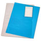 Advantus Vinyl File Folder, Clear, Letter with Pocket AVTANG12