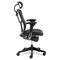 Alera EQ Series Ergonomic Multifunction High-Back Mesh Chair, Black Base ALEEQA41ME10B