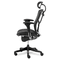 Alera EQ Series Ergonomic Multifunction High-Back Mesh Chair, Black Base ALEEQA41ME10B