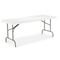 Alera Resin Rectangular Folding Table, 72w x 30d x 29h, Platinum ALE65500