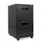 Alera Two-Drawer Mobile Pedestal File, 15-7/8w x 19-3/4d x 28-1/4h, Charcoal ALEPA542820CH