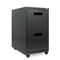 Alera Two-Drawer Mobile Pedestal File, 15-7/8w x 23-1/4d x 28-1/4h, Charcoal ALEPA542823CH