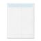 Ampad Safeseal White Catalog Envelope, Side Seam, 10 x 13, 100/Box AMP73140