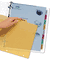 Avery Index Maker Clear Label Punched Dividers, Multicolor 8-Tab, Letter AVE11433