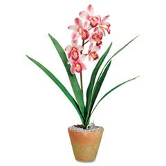 Baumgartens Artificial Pink Cymbidiums in a Terra Cotta Pot, 21" Overall Height BAU98045