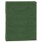 Blueline Exec Wirebound Notebook, College/Margin Rule, 9-1/4 x 7-1/4, GRN, 150 Sheets REDA7150EGRN