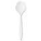 Boardwalk Mediumweight Polypropylene Cutlery, Soup Spoon, White, 1000/Carton BWKYFWSSW