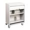 Buddy Products Tambour Locking Medical Cart, 2-Shelf, 26w x 17-3/4d x 34-3/16h, Platinum BDY542432