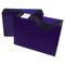 C-Line 13-Pocket Expanding File, Nine Inch Expansion, Letter, Blue CLI48235