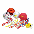 Champion Sports Physical Education Kit w/Seven Balls, 14 Jump Ropes, Assorted Colors CSIUPGSET2