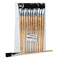 Charles Leonard Long Handle Easel Brush, Size 22, Natural Bristle, Flat, 12/Pack LEO73599