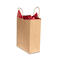 COSCO Premium Small Brown Paper Shopping Bag, 50/Box COS091565