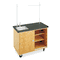 Diversified Woodcrafts Economy Mobile Lab Table, Rectangular, 48w x 24d x 36h, Black DVW4111K