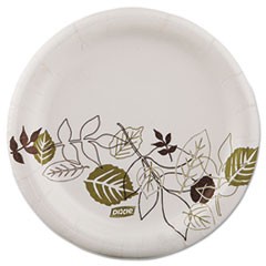 Dixie Pathways Paper Plates, 5.875", Green/Burgundy, 125 per Pack DXEUX6PATHPK