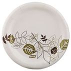 Dixie Pathways Paper Plates, 5.875", Green/Burgundy, 125 per Pack DXEUX6PATHPK