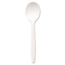 Dixie Plastic Cutlery, Mediumweight Soup Spoons, White, 1000/Carton DXEPSM21