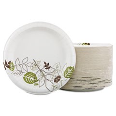 Dixie Ultra Pathways Heavyweight Paper Plates, 10.125", 125 per Pack DXESXP10PATHPK