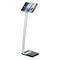 Durable Literature Stand, Acrylic Tray/Cast Iron Base, 40" High, Clear/Aluminum/Black DBL486323