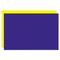 Eco Brites Too Cool Foam Board, 20x30, Blue/Yellow, 5/PK GEO26829
