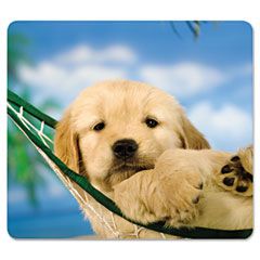 Fellowes Recycled Mouse Pad, Nonskid Base, 7-1/2 x 9, Puppy in Hammock FEL5913901