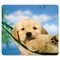 Fellowes Recycled Mouse Pad, Nonskid Base, 7-1/2 x 9, Puppy in Hammock FEL5913901
