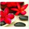 Fellowes Recycled Optical Mousepad, Spa (5904601)