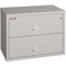 Fireproof 2-Drawer Lateral File Finish: Platinum, Lock: Key Lock