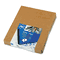 GBC Clear View Presentation Binding System Cover, 11 x 8-1/2, Clear, 100/Box GBC2020025